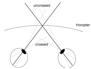 binocular cues convergence